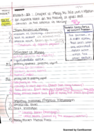 Lectures #22 & #23