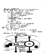 BSCI170 Week 7 Notes