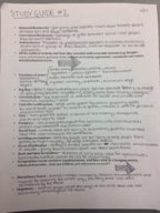 Cultural Anthropology Study Guide #2