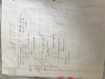 Micro week 5 notes