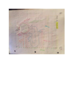 BIO336- Week 12 Notes (11/14 & 11/16)