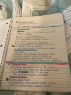 anatomy 1 week 12 notes 