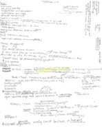 BIO 411 Exam 4 Notes