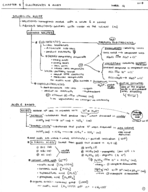 CHEM Week 12: Ch 8