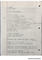 AP I Class Notes Week 11