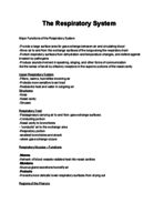 The Respiratory System
