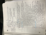 Unit 3 notes