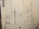 Spanish Week 12