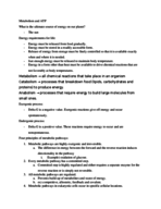 Week 7 Notes