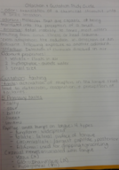 Gustation and Olfaction study guide