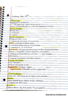 Week 6 Notes