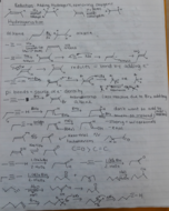 Introduction to Alkyne Reactions