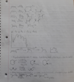 Review of alkyne reactions
