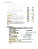 Chapter 10 The structure and function of DNA 