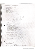 General Psychology Lecture Week 13