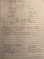 music theory notes week 15