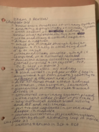 A&P II Exam 3 Review
