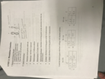 biological foundations: week 6