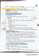 Human Phys Week 8
