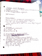 Week 13 Notes