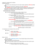 Exam 2 materials