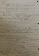 Engineering Materials Week 1 Notes