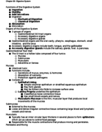CHpt 26 Notes