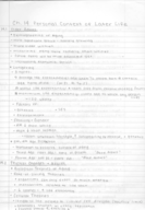 Lifespan Development Ch. 14