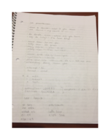 Midterm 1 Study Guide