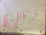 lecture 12/5