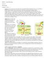 BIOB34 Lecture 11 Notes