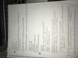 Spanish 2001, week 11class  notes