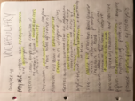 Study Guide for Exam 4 