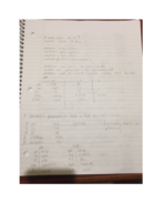 Midterm 2 Study Guide