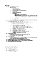 BIO1200 Final Exam