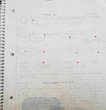 Lecure 8 Notes