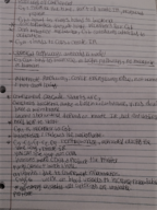Study Guide for final.