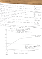 Bio 201 Final Study Guide