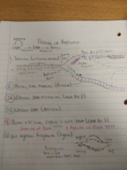 bio 12 week 6