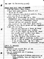 Intro to Zoology- Week 3 notes
