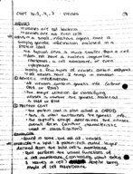Intro to Zoology- Week 7 Notes