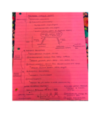 Physiology Exam Four