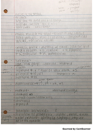 AP I Class Notes Week 13