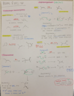 OCHEM 008A Study Guide