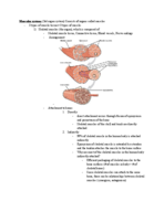 Week 13 BSCI201 Material
