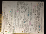 History Week 3