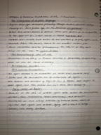 Week 1: Int. Justice and Human Rights