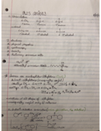 ch. 23,24,26, 27 notes 
