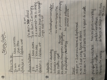French study guide