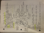 final exam study guide